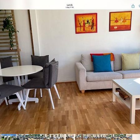 Lys Og Trivelig Leilighet I Larvik Exterior foto